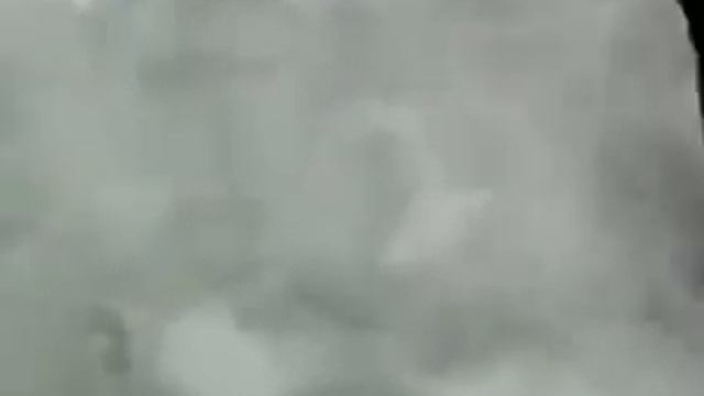 большой толстолоб 23 кг мега большой толстолоб смотреть онлайн