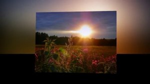 Одинокий Пастух - Галерея Инструментальной Музыки  3.mp4