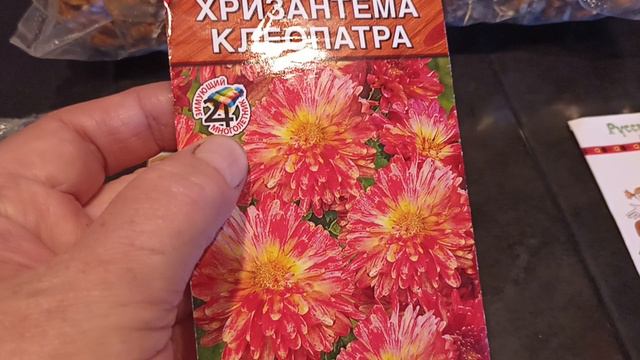 Что купила на VB смотреть онлайн