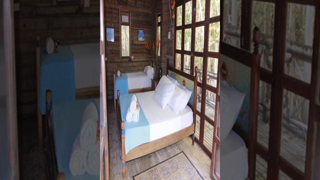 Hotel Isla Palma Playa & Ecohabs - Isla Palma - Colombia смотреть онлайн