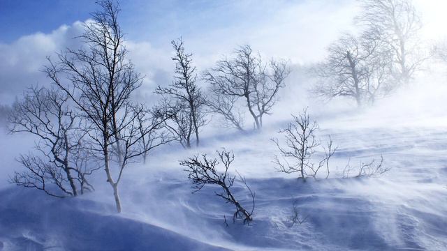 Winter Storm. Зимний ураган