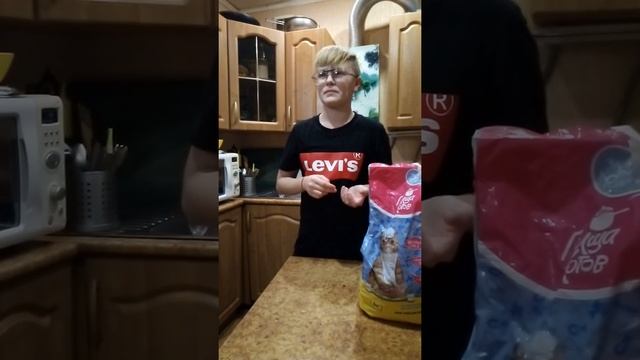 ДЕГУСТАЦИЯ КОШАЧЬЕГО КОРМА ИЗ СВЕТОФОРА смотреть онлайн