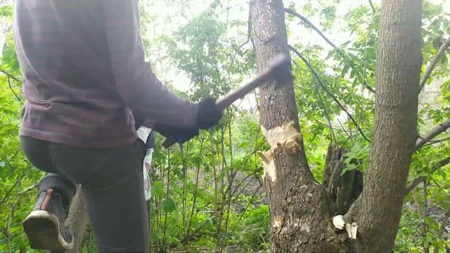 Строим домик. Готовим материал [часть 2] смотреть онлайн