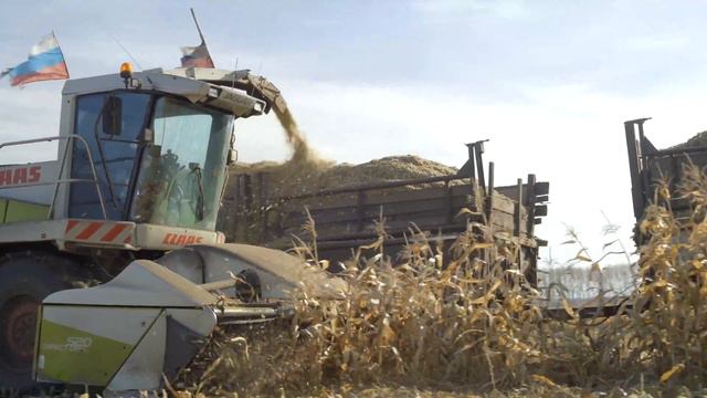 Назаровское 1934 смотреть онлайн