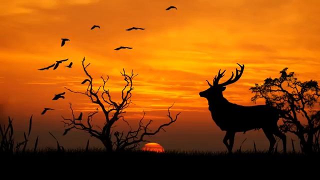 Relaxing Piano Music: Sleep, Meditation & Relaxation | Instrumental Background Music