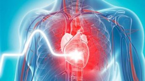 Гипертрофия левого желудочка: что это, признаки на ЭКГ, симптомы и лечение