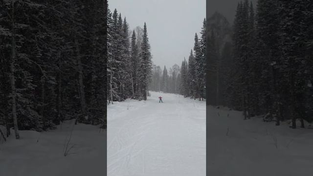 Где в Шерегеше покататься на беговых лыжах? смотреть онлайн