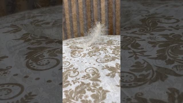 #ковдра,#подушка,#одеяло ,#длядома, #перо,#pillow,#duvet,#сон,#тепло,#комфорт,#дом смотреть онлайн