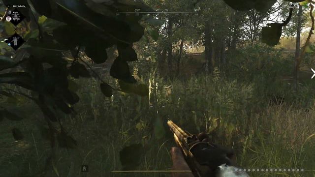 Hunt Showdown: Winfield💪Лютая мощь💪