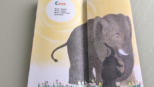 Необычная книжка. Что снится моржу. смотреть онлайн