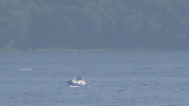 Бухта Золотой Рог. Владивосток 28.07.2018 ч. 19 смотреть онлайн