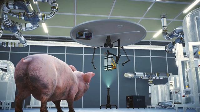 Pig Skater Simulator смотреть онлайн