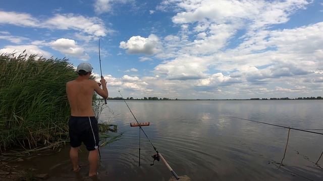 Ловля карпа,карася и трофейного амура на пруду, рыбалка на фидер/удочку,Самарская обл.п.Михайловски смотреть онлайн