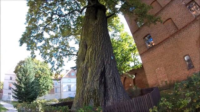 Польша для Русских. Фромборк. Frombork. Frauenburg смотреть онлайн