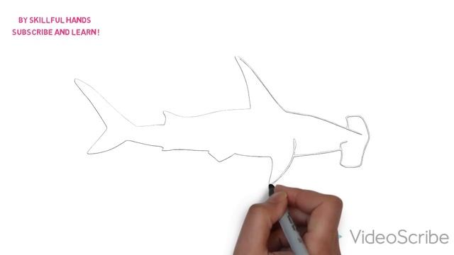 How to Draw a Hammerhead shark / Как нарисовать Акулу-молот смотреть онлайн