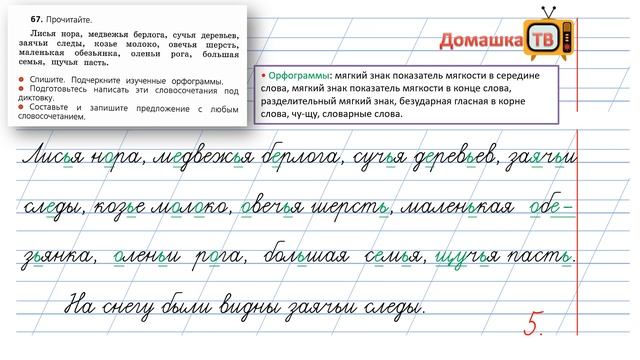 Упражнение 67 страница 38 - Русский язык (Канакина, Горецкий) - 2 класс 2 часть смотреть онлайн