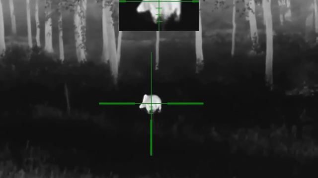 Охота на кабанов. Выстрел в кадре! Тепловизор Guide ТК451 и тепловизионный прицел Guide TU430. смотреть онлайн