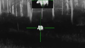 Охота на кабанов. Выстрел в кадре! Тепловизор Guide ТК451 и тепловизионный прицел Guide TU430.