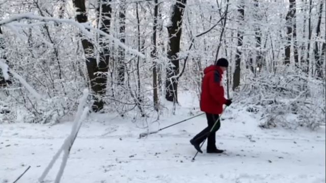 Сказочный зимний лес. И опять "Кумыска". г. Саратов. смотреть онлайн