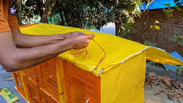 How To Make Pigeon House With Plastic Box || Pigeon House Making Video || How To Create Pigeon Loft смотреть онлайн