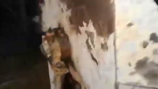 Растворомешалка смотреть онлайн