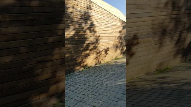 ярославль смотреть онлайн
