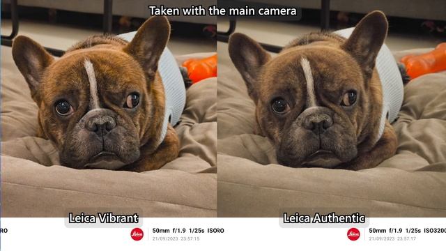 Leica cameras + EPIC performance! Xiaomi 13T Pro review смотреть онлайн