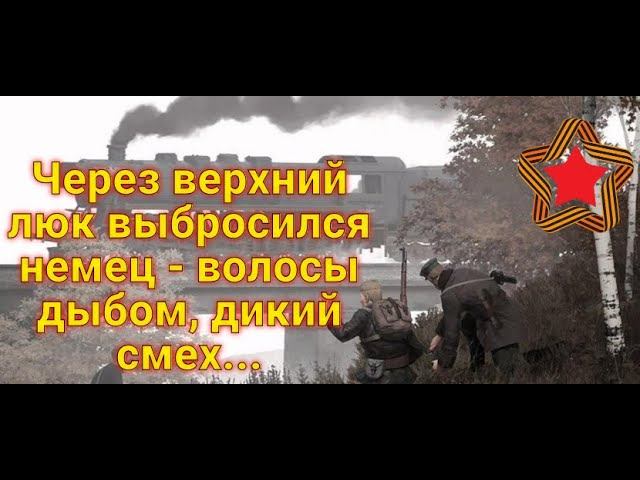 Стрелки из охотников-сибиряков избавлялись в первую очередь от собак, они были страшнее немцев... смотреть онлайн