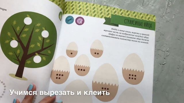 Счёт. Учимся вырезать и клеить. Система раннего развития Марии Монтессори. Хоббитека. 2+ смотреть онлайн