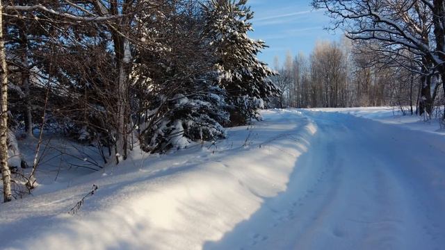 Зелёный змей. Библейские события, которые видят в Писании, но не видят, если они происходят с ними. смотреть онлайн