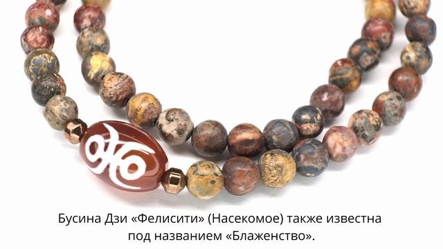 Бусина Дзи «Фелисити» (Насекомое) в браслете из яшмы пейзажной смотреть онлайн