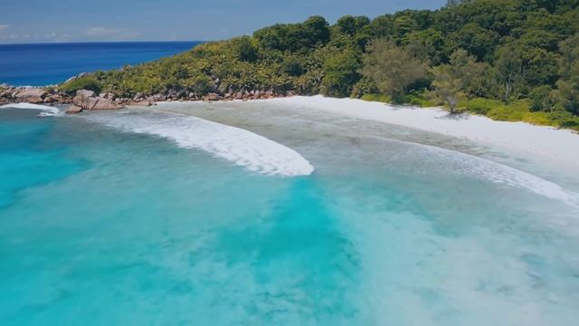 Нужен пустой ум Nikosho смотреть онлайн