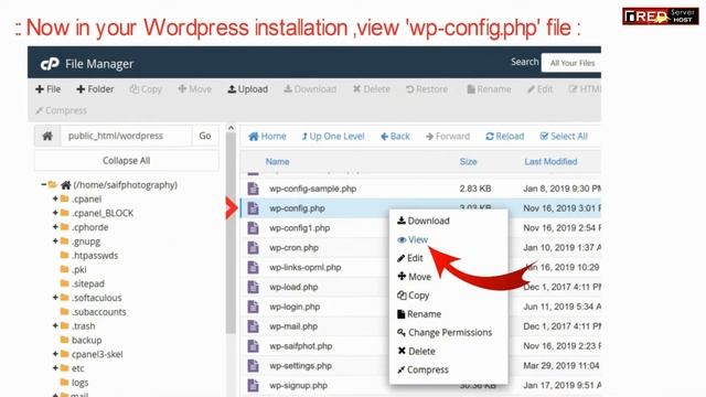 How to Find and Reset WordPress username from phpMyAdmin? [STEP BY STEP]☑️ смотреть онлайн