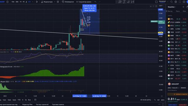 Обзор рынка 31.01 - BTC, DOT, ATOM, APT, MINA, SP500, DXY смотреть онлайн