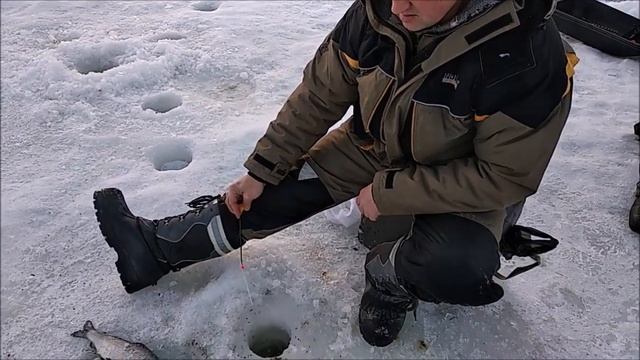 Клёвое место (Савельево), НАЧИНАЕМ ЛОВИТЬ СИЖКА смотреть онлайн