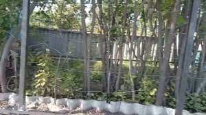 Забор из уголка. Приваривание уголка. часть 3