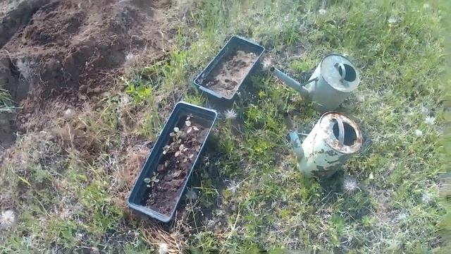 Йога и Медитация