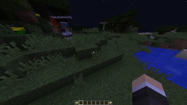 Minecraft Plugin Display: Marauders Map