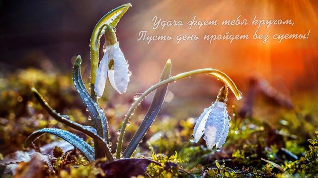 Красивое пожелание С Добрым Утром! смотреть онлайн