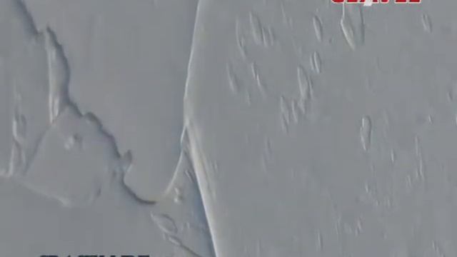 Clavel Cracelure.wmv