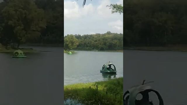 Bermain di fantasy zoo смотреть онлайн