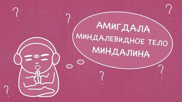 Амигдала  Миндалевидное тело. Строение мозга. Фобии страхи. Центр эмоций. Социальная дистанция