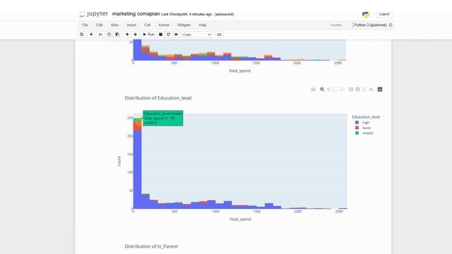 Marketing Campaign Analysis report. смотреть онлайн