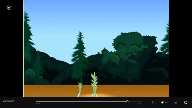 8 сынып Споралы өсімдіктердің тіршілік циклі