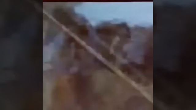 Самый жесткий скачки в мире смотреть онлайн