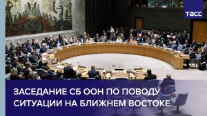 Заседание СБ ООН по поводу ситуации на Ближнем Востоке