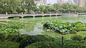 Далянь день 7 / часть 2 (02.08.2024) детский парк