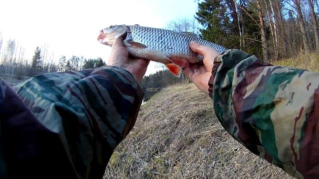 Рыбалка на донки. Начало мая 2020, река. смотреть онлайн