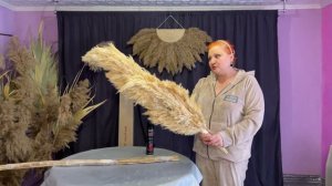 Осыпается Тростник Пампасная трава Кортадерия летит пух как ухаживать за сухоцветом сыпется камыш