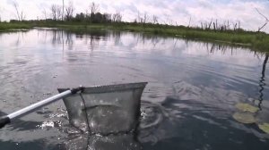 Рыбалка. Нефтекамск - Саузово. Малый Найдан.